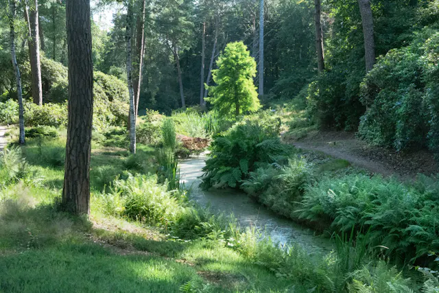 Heidetuin