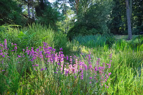 Heidetuin Driebergen