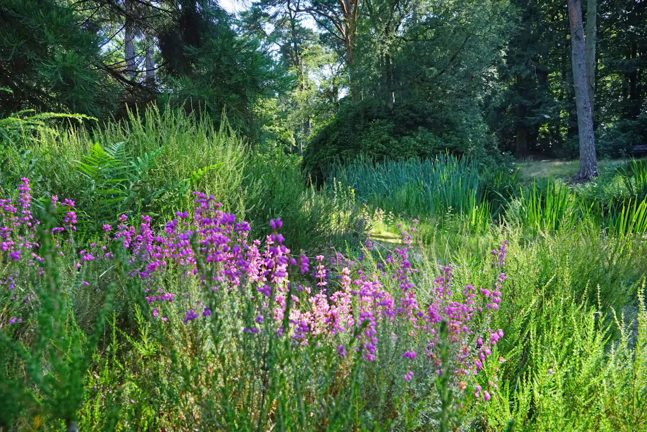 Heidetuin Driebergen