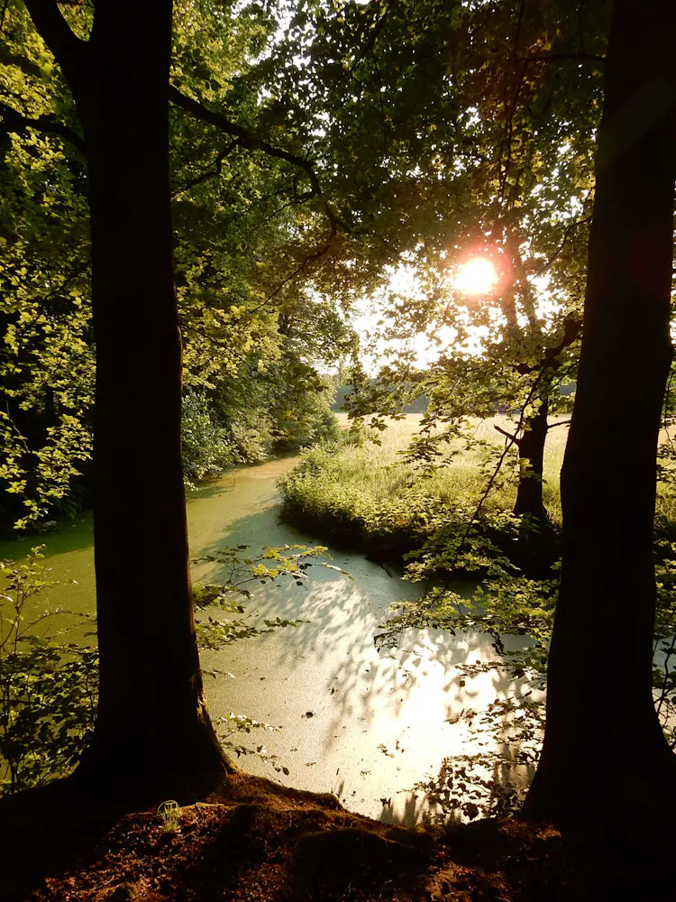 Zomeravond wandeling Beerschoten