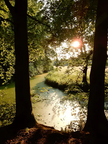 Zomeravond wandeling Beerschoten