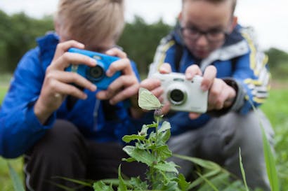 Kinderen fotograferen een insect