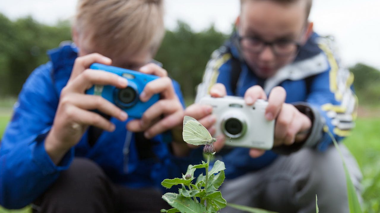 Kinderen fotograferen een insect