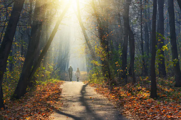 Herfstwandeling