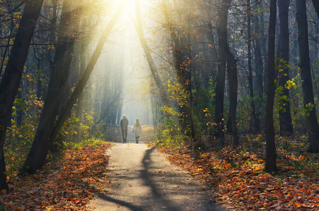 Herfstwandeling