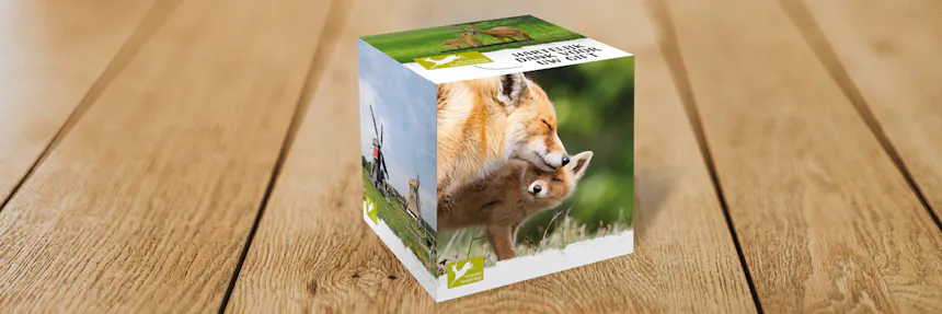 giftbox grotere afbeelding