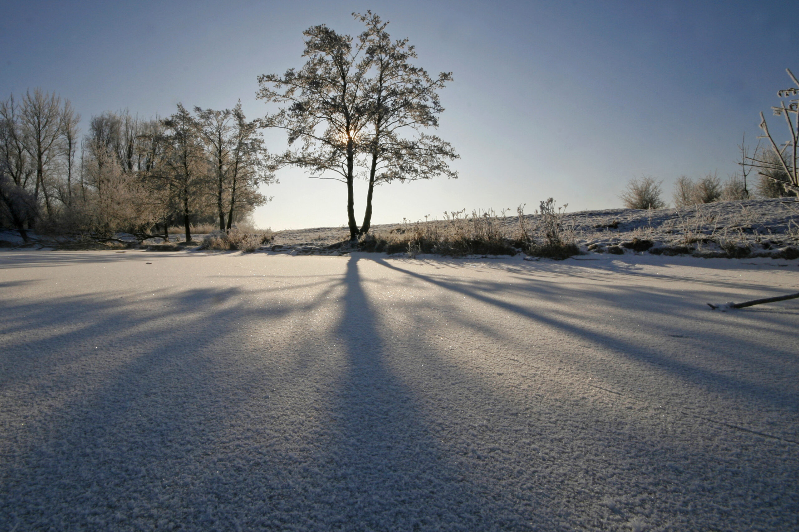 Blauwe Kamer, winter