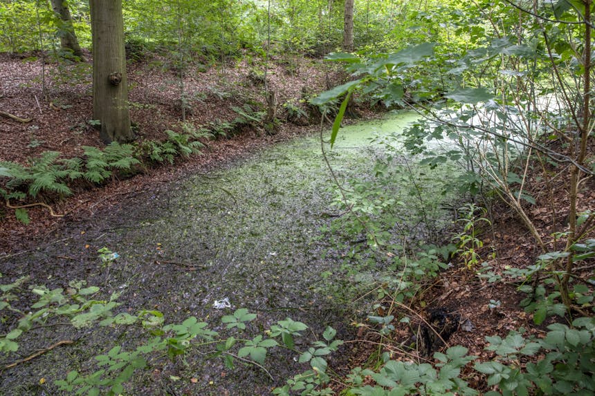 sloot Schoonoord voor herstel