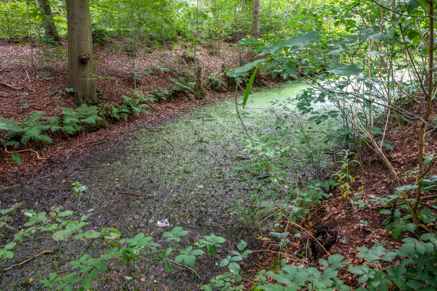 sloot Schoonoord voor herstel