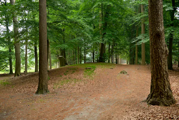 Beerschoten