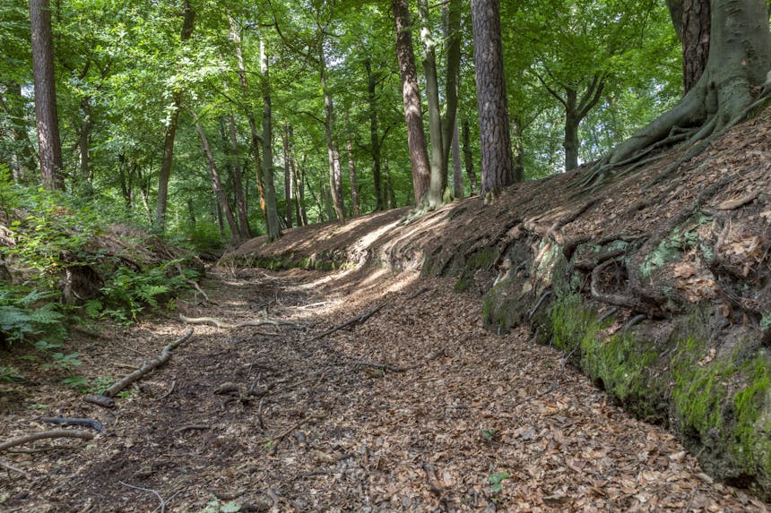 droge spreng in Zeisterbos