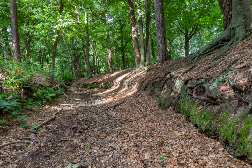 droge spreng in Zeisterbos