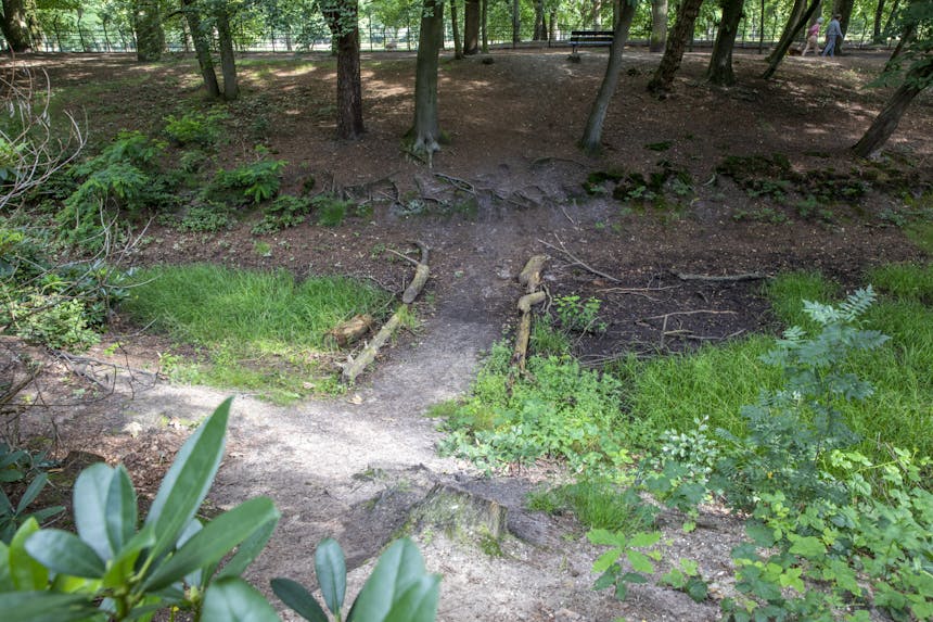 drooggevallen spreng Zeisterbos
