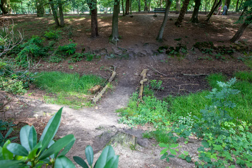 drooggevallen spreng Zeisterbos