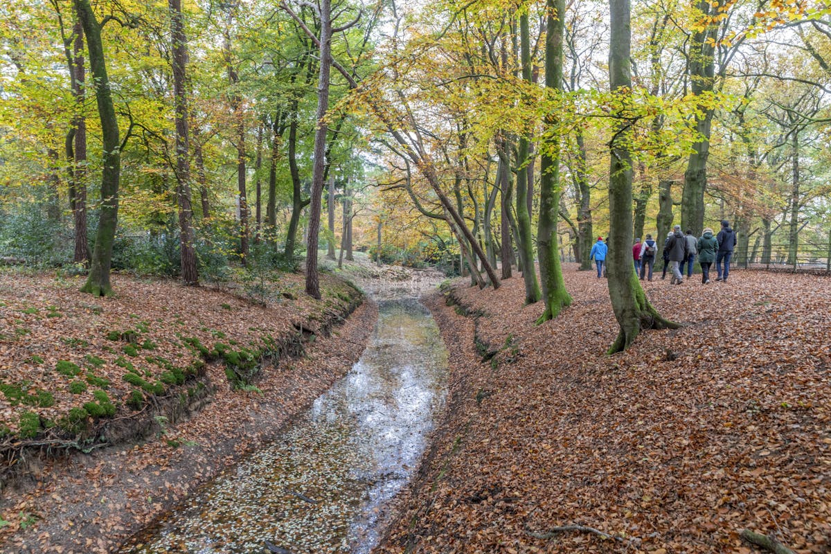 Klimaatroute Zeisterbos