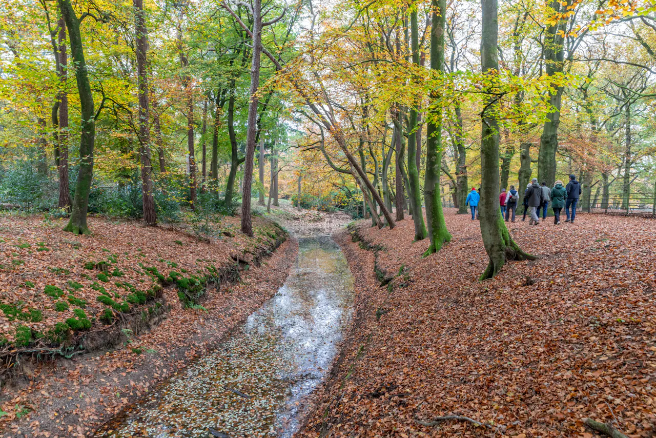 excursie langs spreng Zeisterbos