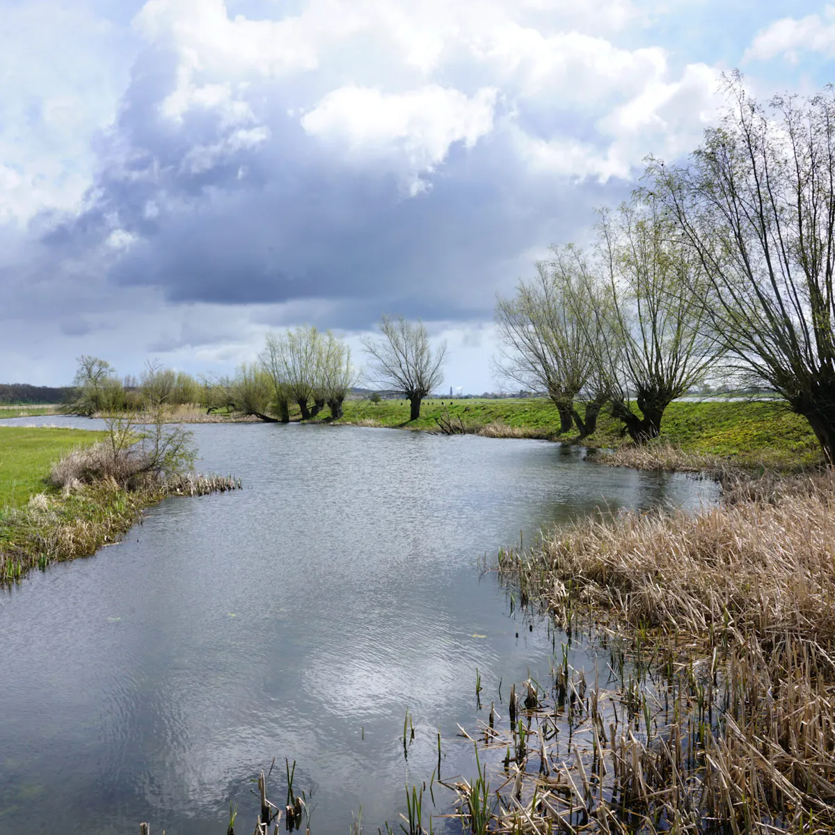 Elster Buitenwaarden Utrechts Landschap elster-buitenwaarden-utrechts-landschap