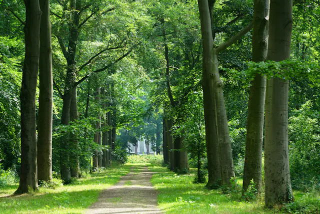 Laan Over-Holland