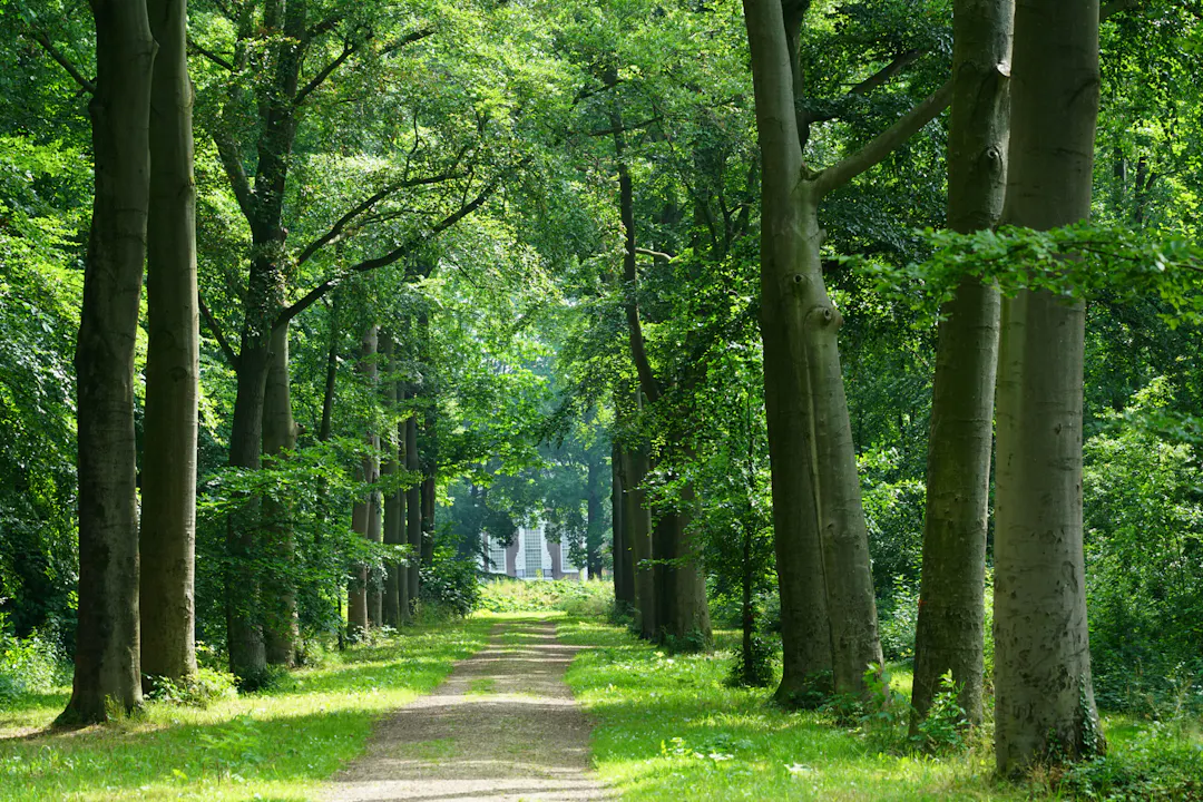 Laan Over-Holland