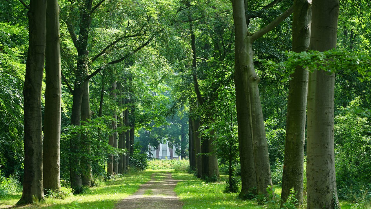 Laan Over-Holland