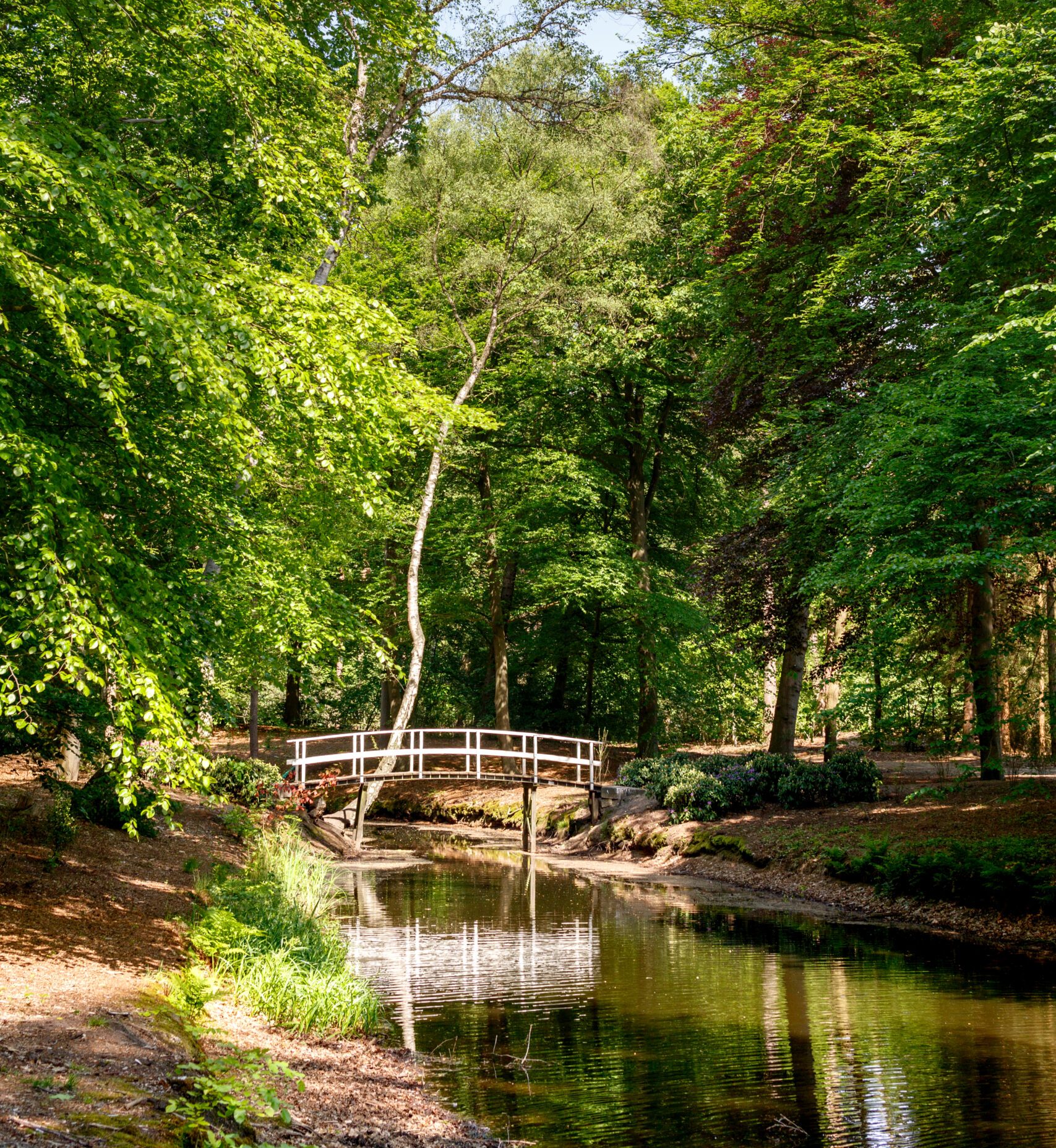 Bruggetje Molenbosch