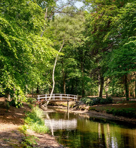 Bruggetje Molenbosch