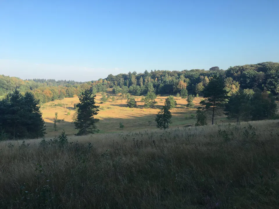 Landgoed de Paltz