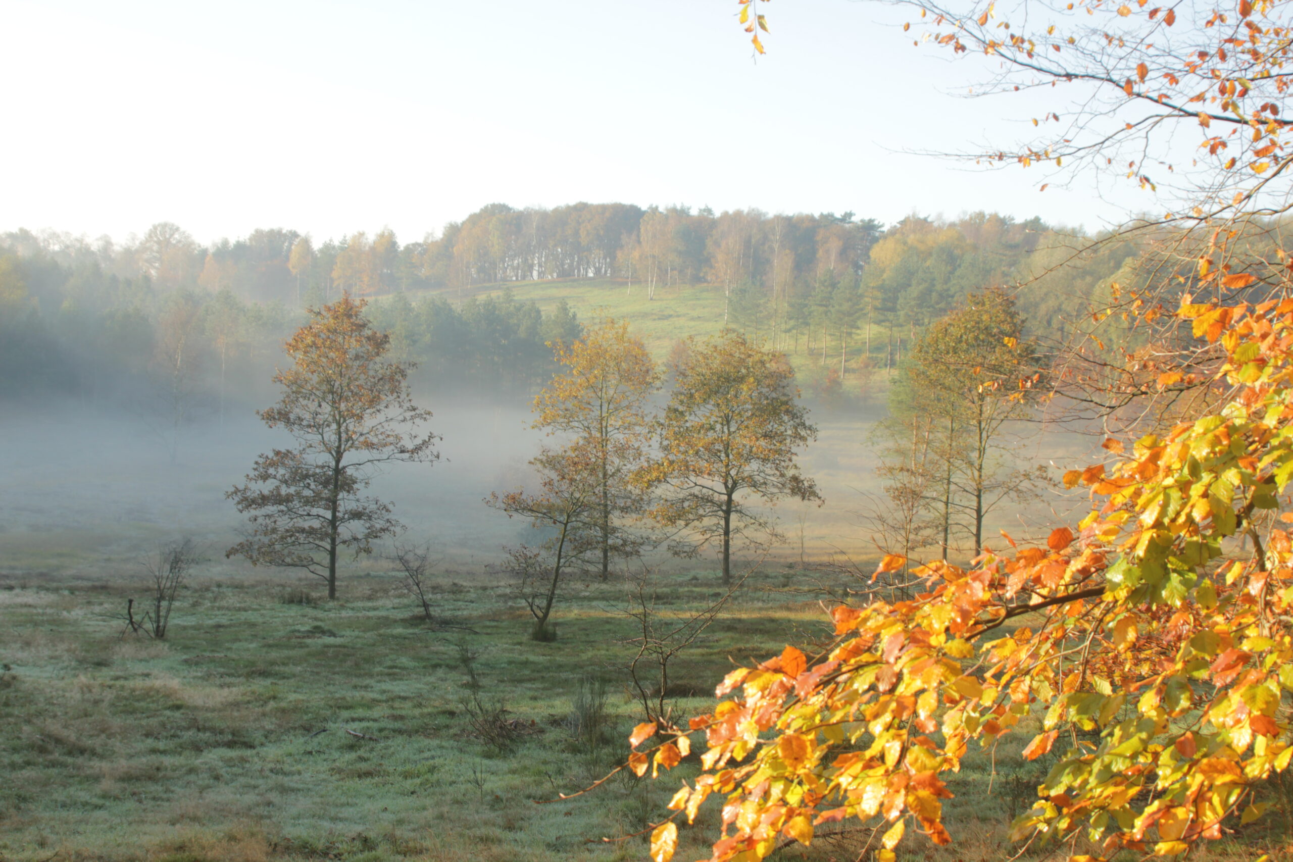 Landgoed de Paltz in de herfst
