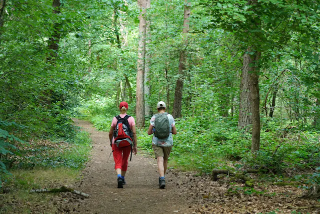 Wandelaars Driebergsebos