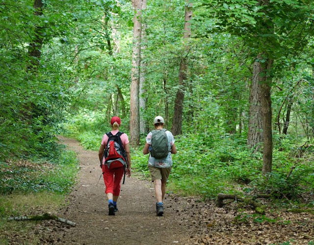 Wandelaars Driebergsebos