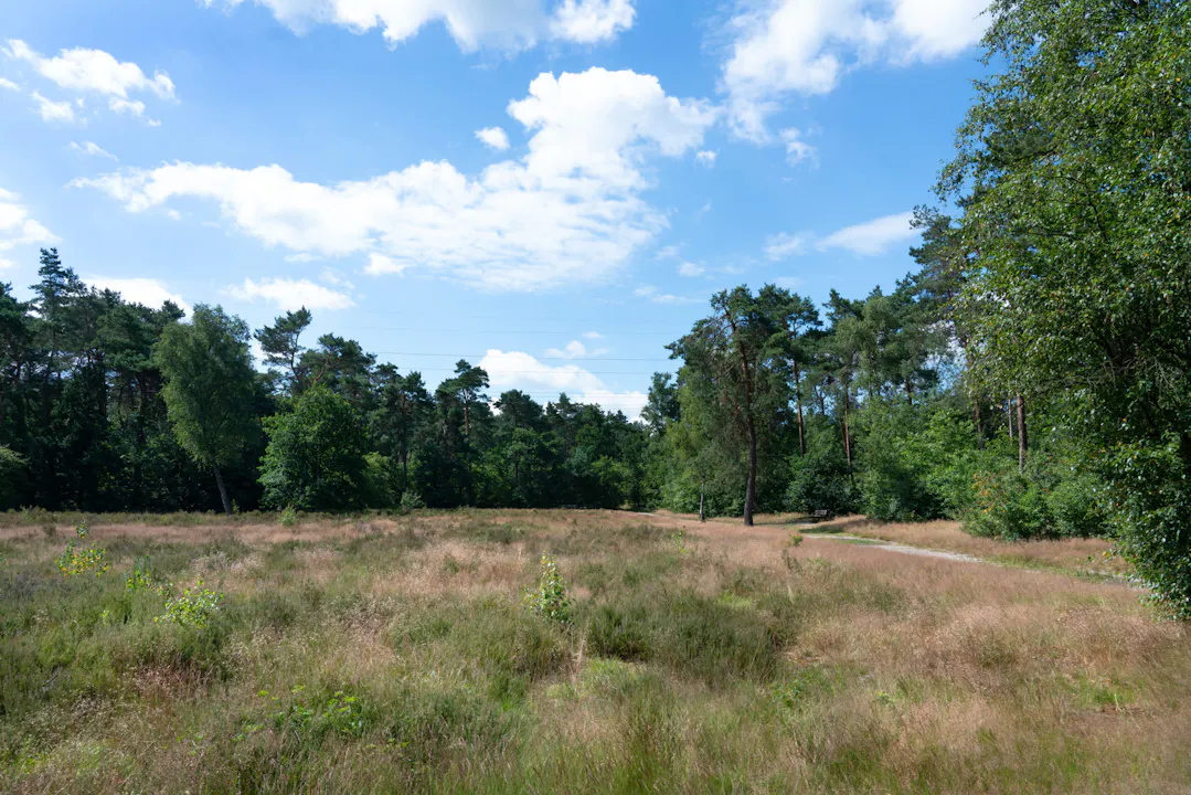 Heideveldje Driebergsebos