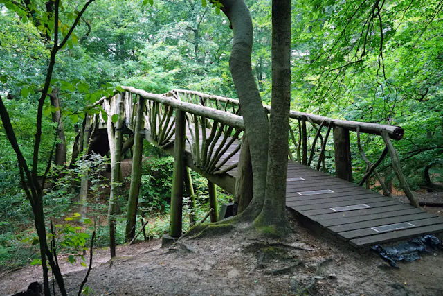 Brug Driebergse Bos