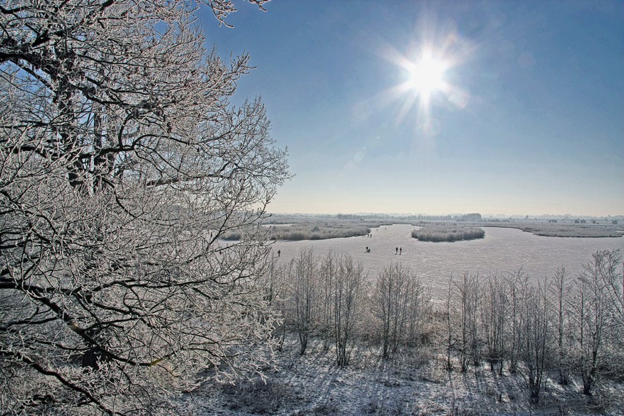 Winter in Amerongse Bovenpolder