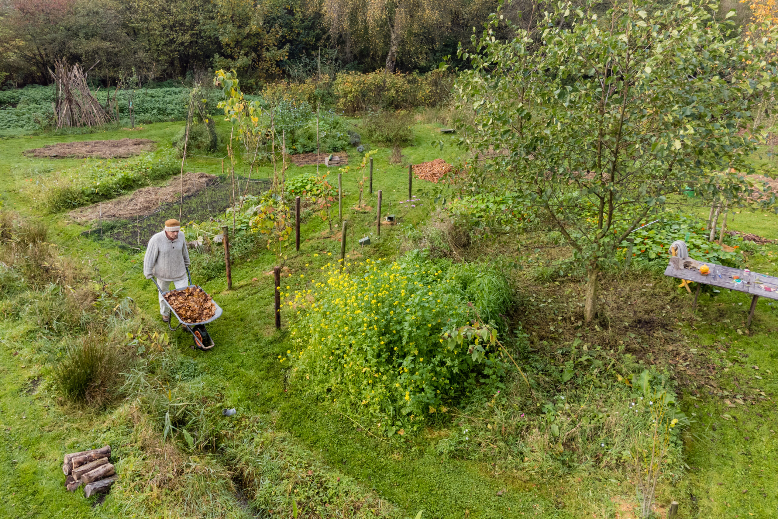 Peter ana het werk moestuin Stoutenburg