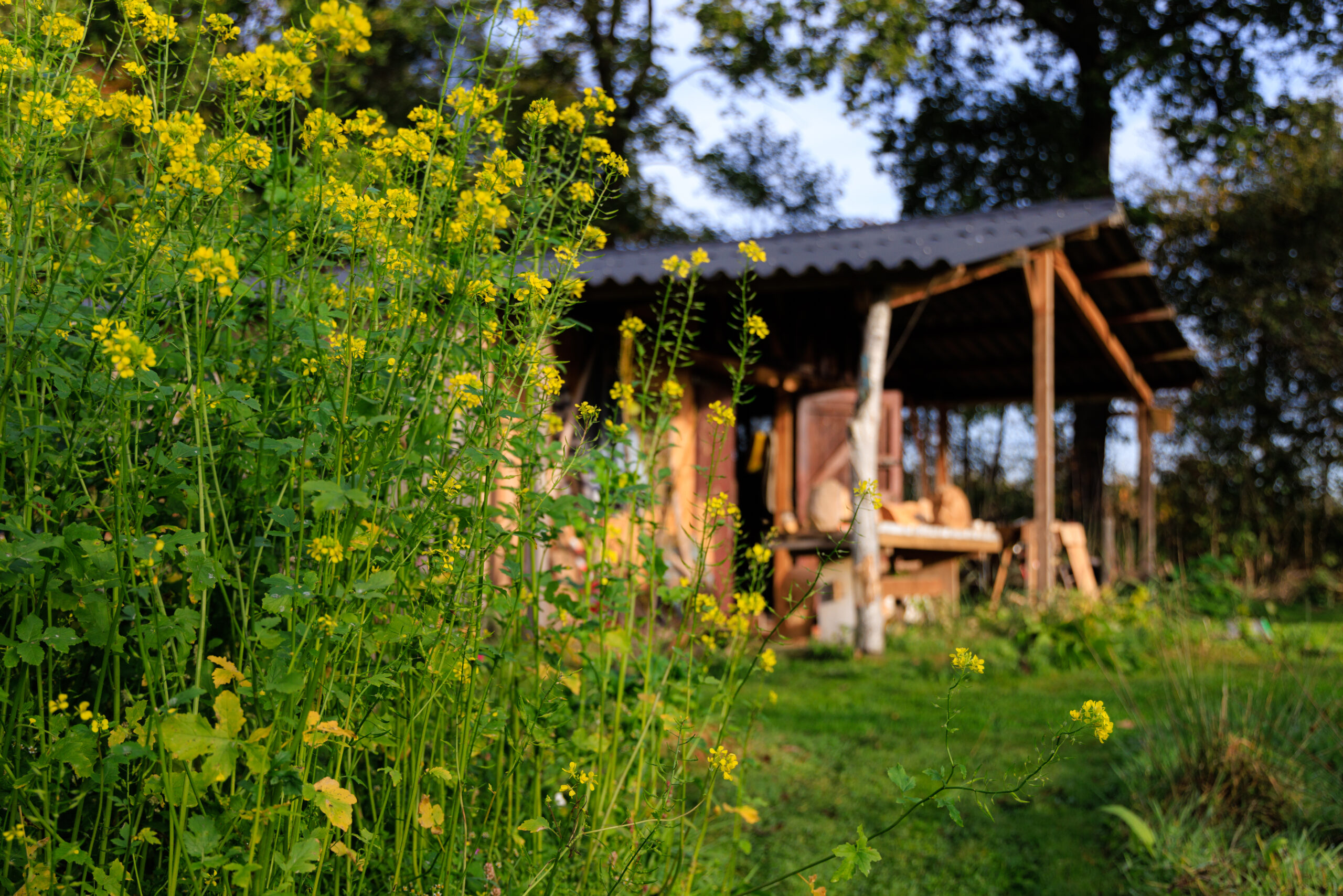 Schuur in moestuin Stoutenburg