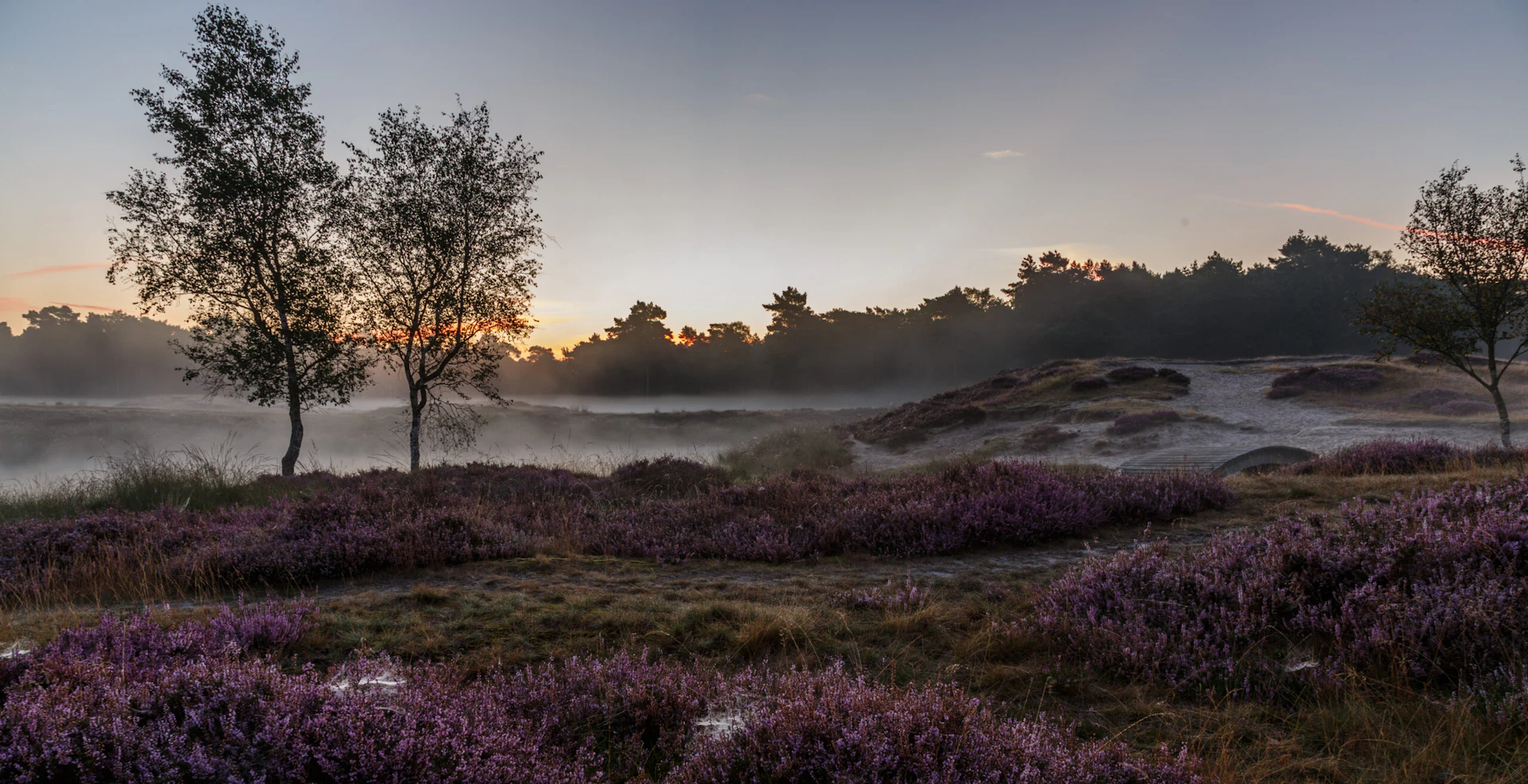 Natuurgebied van Utrechts Landschap