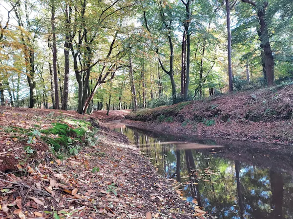 Spreng Zeisterbos