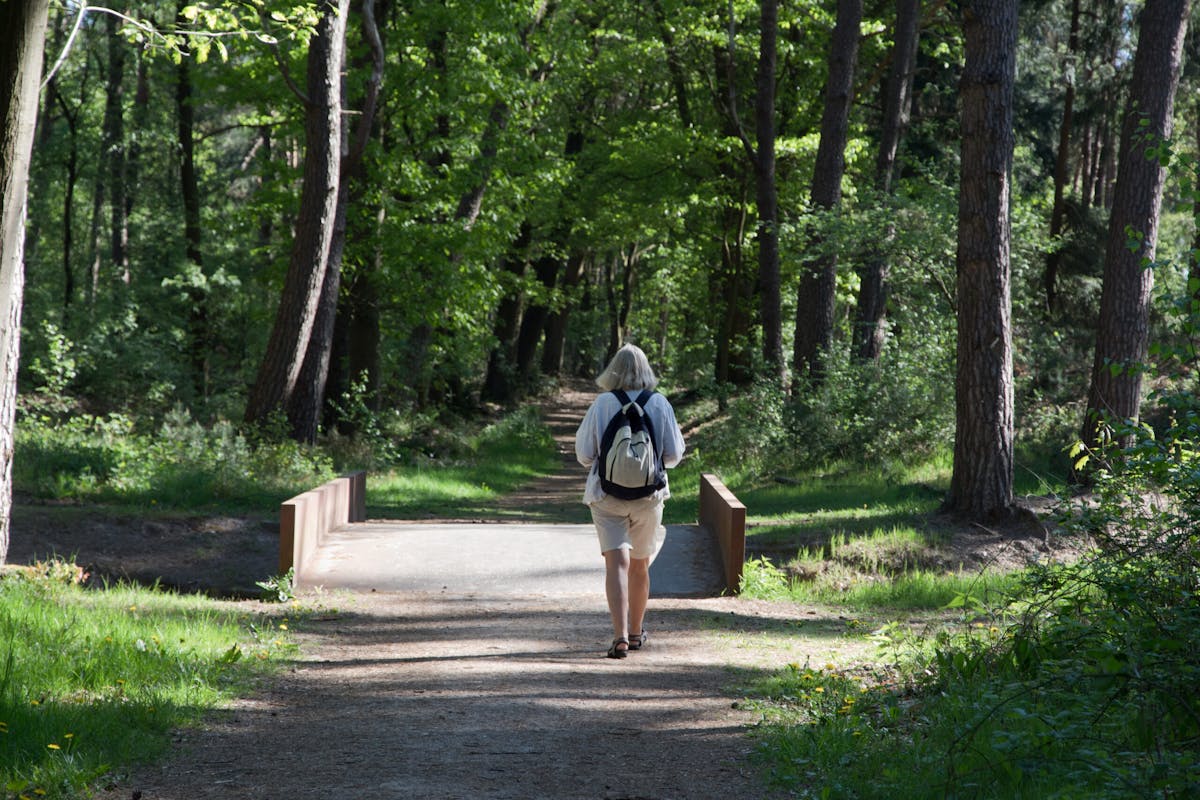Nieuwe routes voor wandelaars en hondenbezitters op Heidestein