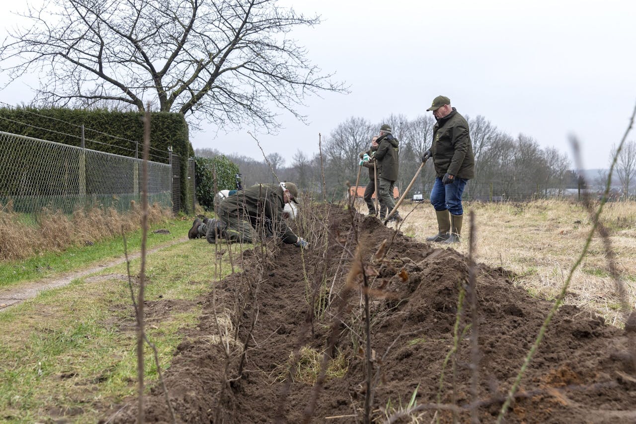 Vrijwilligers en buurtbewoners planten hagen op de Laarsenberg