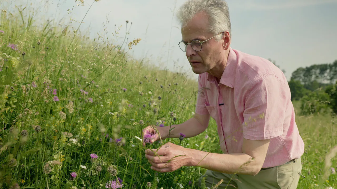 Hans de Kroon