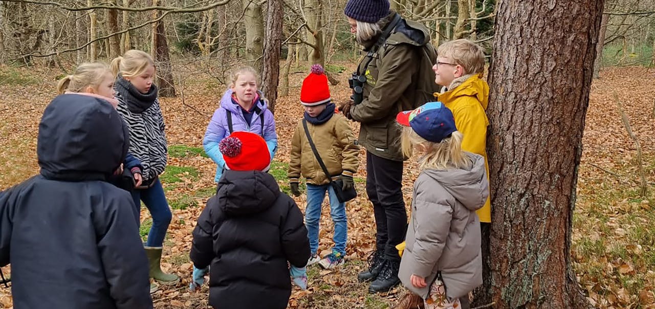 Kinderactiviteit Amerongse Bos