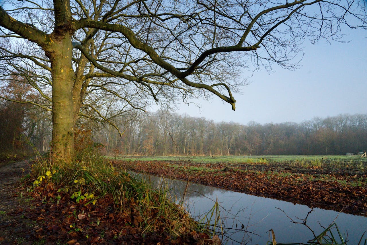 Over-Holland in de winter