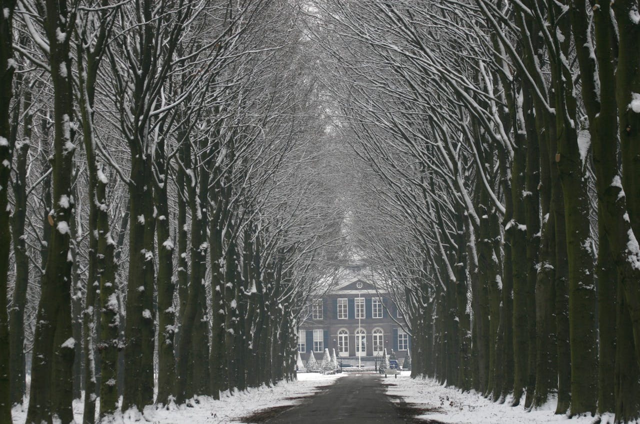 Houdringe winter