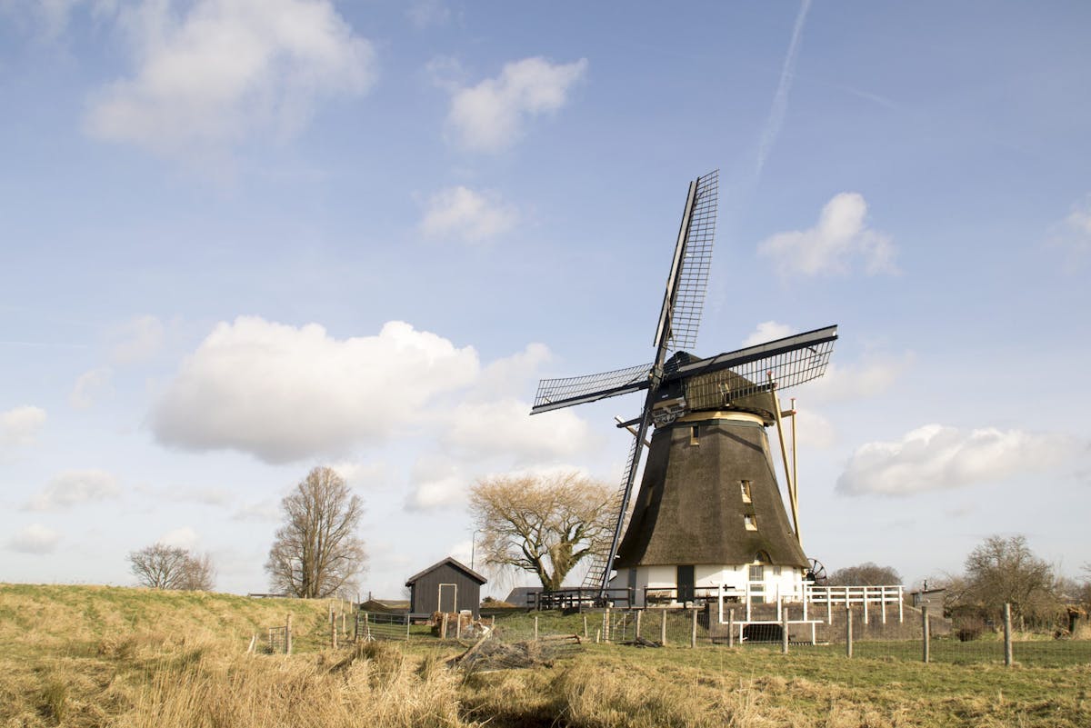 De Oostzijdse Molen heeft nieuwe binnenroede