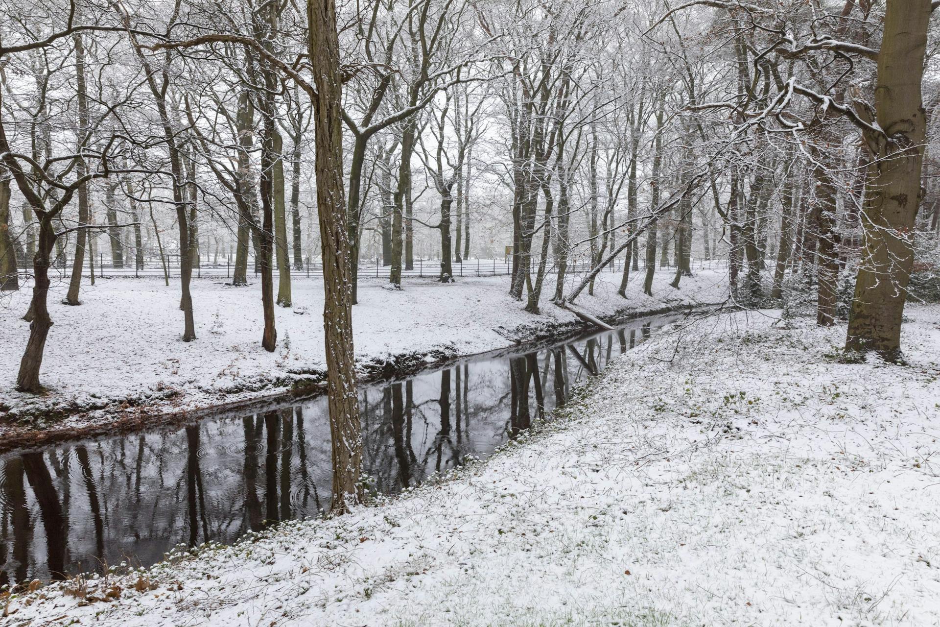Zeisterbos in winter
