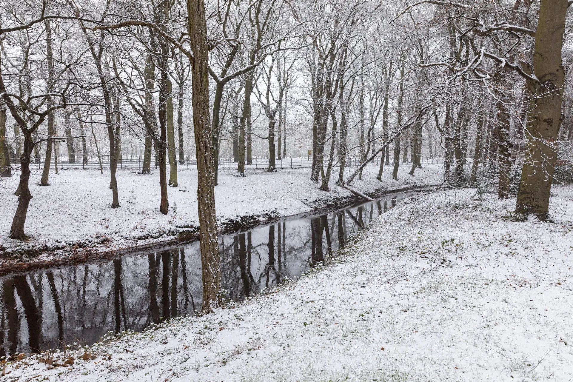 Zeisterbos in winter