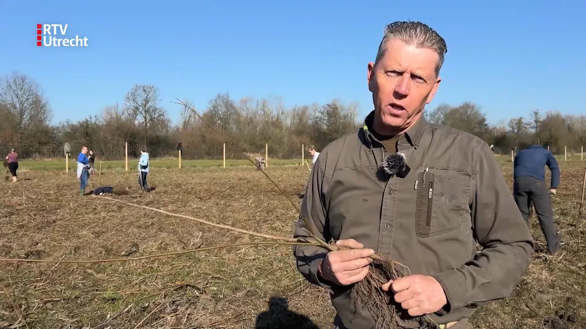 1,5 hectare nieuw bos dankzij samenwerking met bedrijven
