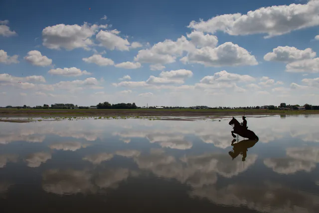 Hoe werkt een waterlinie? Polder Blokhoven met paard/Desiree Meulemans