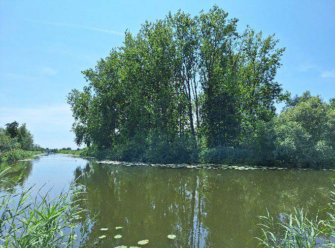 Nieuwe aankoop Utrechts Landschap bij Schalkwijk