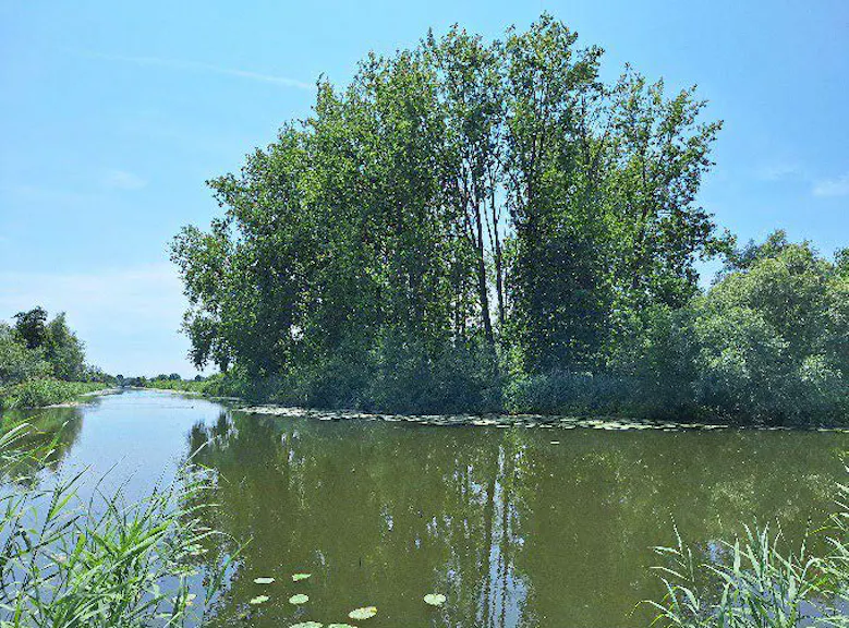 Nieuwe aankoop Utrechts Landschap bij Schalkwijk